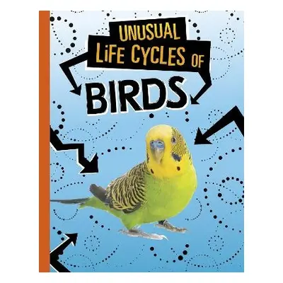 Unusual Life Cycles of Birds - Jaycox, Jaclyn