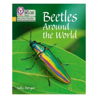 Beetles Around the World - Morgan, Sally