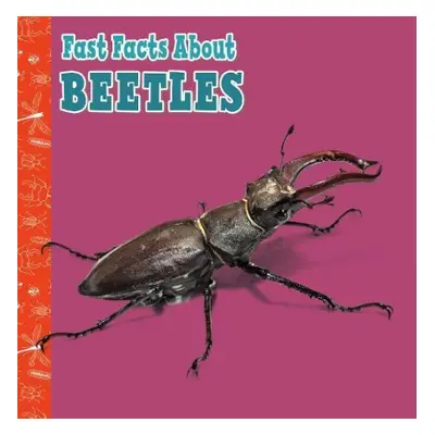 Fast Facts About Beetles - Garstecki-Derkovitz, Julia