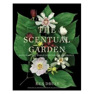 Scentual Garden: Exploring the World of Botanical Fragrance - Druse, Ken