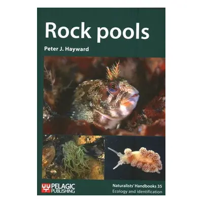 Rock pools - Hayward, Peter J.