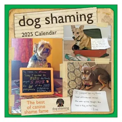 Dog Shaming 2025 Wall Calendar - Lemire, Pascale a dogshaming.com