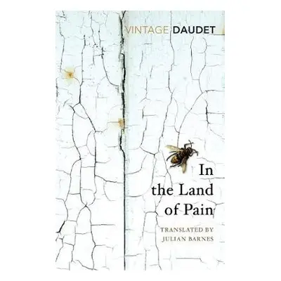 In the Land of Pain - Daudet, Alphonse