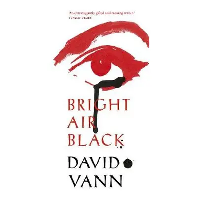 Bright Air Black - Vann, David