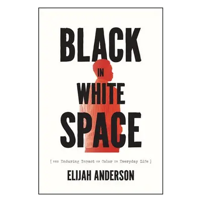 Black in White Space - Anderson, Elijah