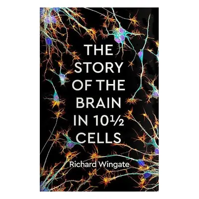 Story of the Brain in 10 Cells - Wingate, Richard