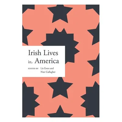 Irish lives in America