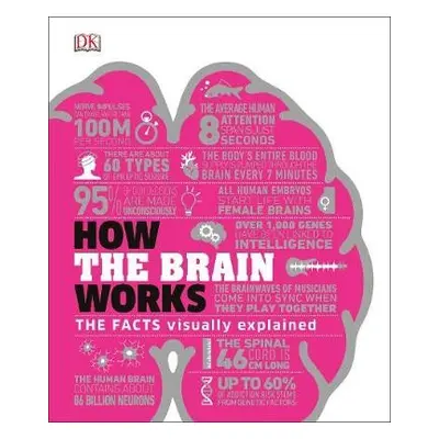 How the Brain Works - DK