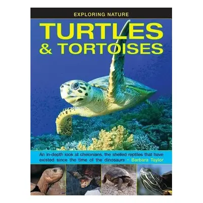 Exploring Nature: Turtles a Tortoises - Taylor Barbara