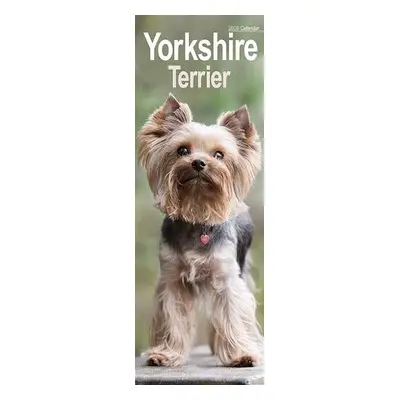 Yorkshire Terrier Slim Calendar 2025 Dog Breed Slimline Calendar - 12 Month