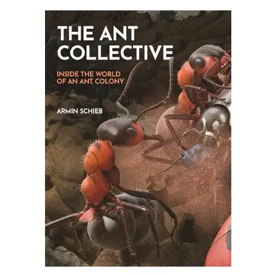 Ant Collective - Schieb, Armin