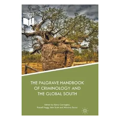 Palgrave Handbook of Criminology and the Global South