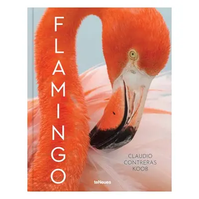 Flamingo - Koob, Claudio Contreras