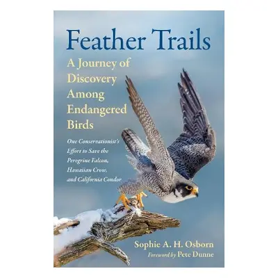 Feather Trails - Osborn, Sophie A. H.