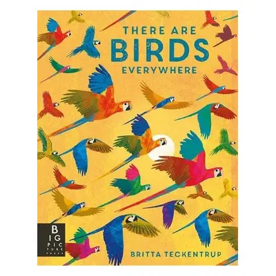 There are Birds Everywhere - Bedoyere, Camilla De La