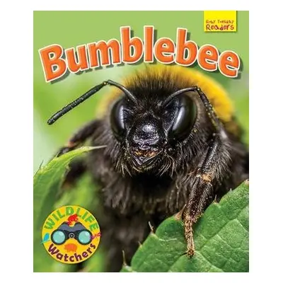 Wildlife Watchers: Bumblebee - Owen, Ruth