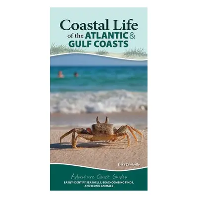 Coastal Life of the Atlantic and Gulf Coasts - Zambello, Erika