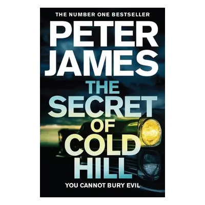 Secret of Cold Hill - James, Peter