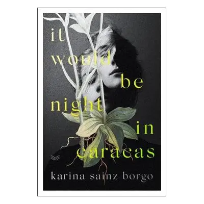 It Would Be Night in Caracas - Sainz Borgo, Karina a Bryer, Elizabeth