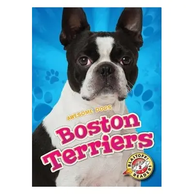 Boston Terriers - Leaf, Christina