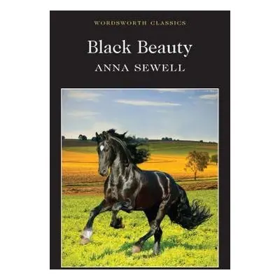 Black Beauty - Sewell, Anna