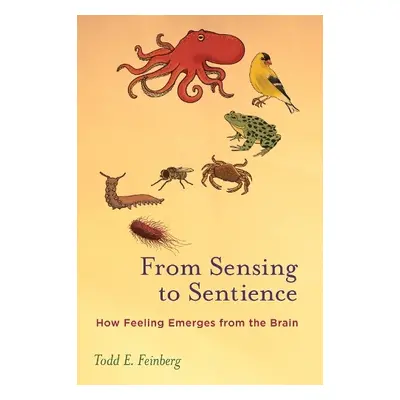 From Sensing to Sentience - Feinberg, Todd E.