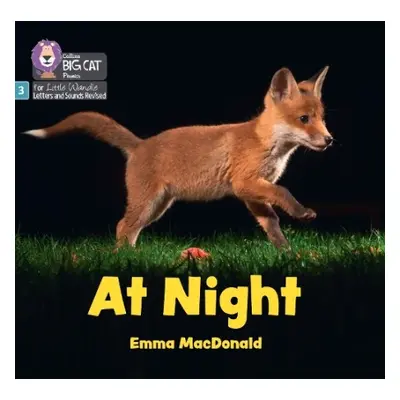 At Night - MacDonald, Emma