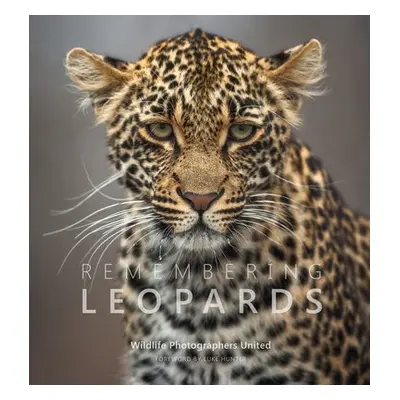 Remembering Leopards