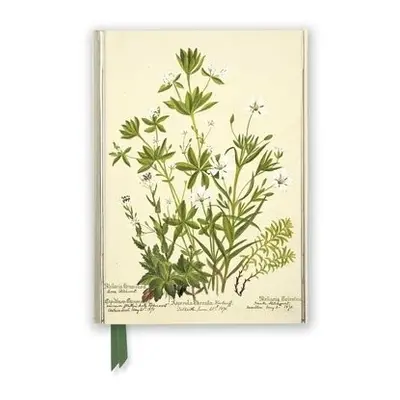 RBGE: Charlotte Cowan Pearson: Stitchworts, Woodruff and Pepperwort (Foiled Journal)