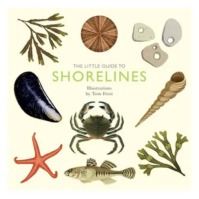 Little Guide to Shorelines - Davies, Alison