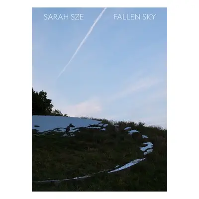 Sarah Sze: Fallen Sky