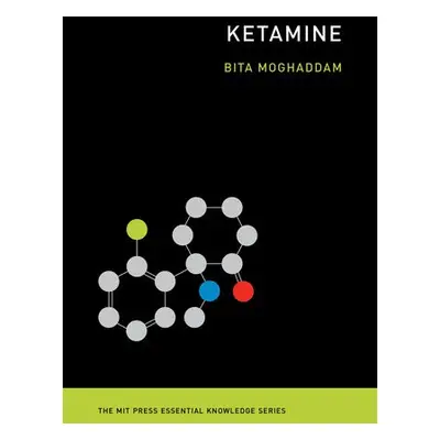 Ketamine - Moghaddam, Bita