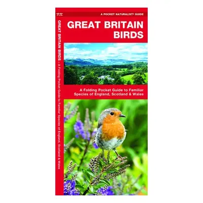 Great Britain Birds - Kavanagh, James