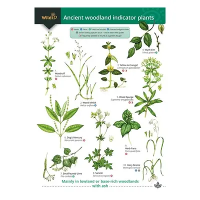 Guide to Ancient Woodland Indicator Plants