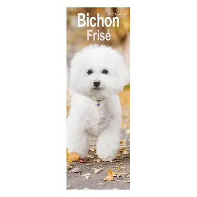 Bichon Frise Slim Calendar 2025 Dog Breed Slimline Calendar - 12 Month