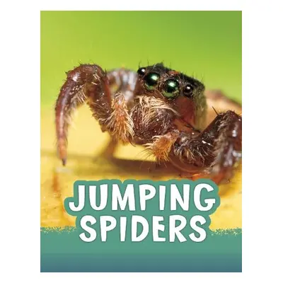 Jumping Spiders - Jaycox, Jaclyn