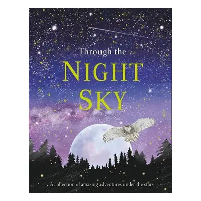 Through the Night Sky - DK