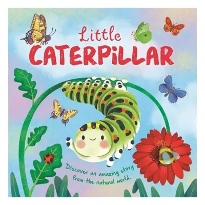 Little Caterpillar - Autumn Publishing