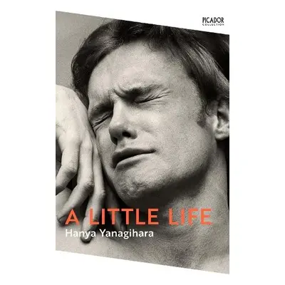 Little Life - Yanagihara, Hanya