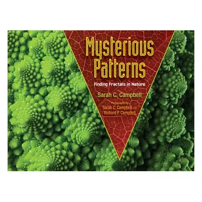 Mysterious Patterns - Campbell, Sarah C.