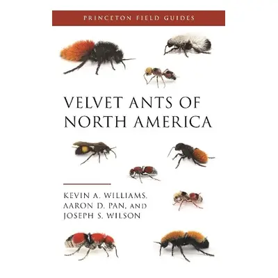 Velvet Ants of North America - Williams, Dr. Kevin a Pan, Dr. Aaron D. a Wilson, Joseph S.