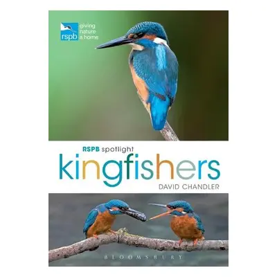 RSPB Spotlight Kingfishers - Chandler, David (Author)