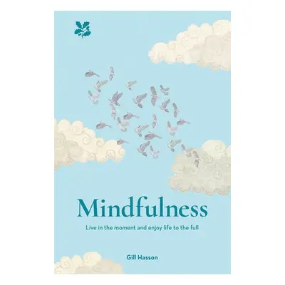 Mindfulness - Hasson, Gill a National Trust Books