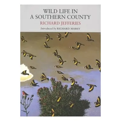 Wild Life in a Southern County - Jefferies, Richard