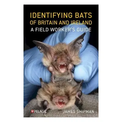 Identifying Bats of Britain and Ireland - Shipman, James