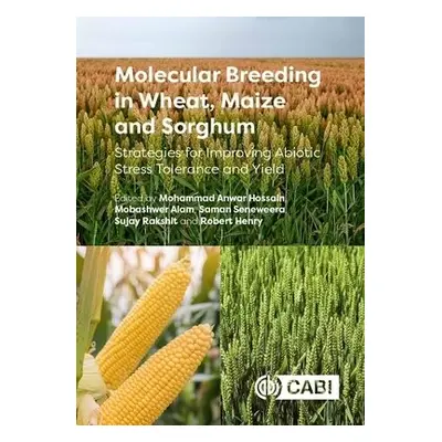 Molecular Breeding in Wheat, Maize and Sorghum