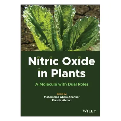 Nitric Oxide in Plants