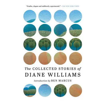 Collected Stories of Diane Williams - Williams, Diane