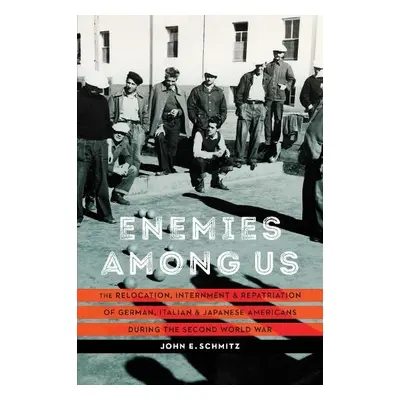 Enemies among Us - Schmitz, John E.