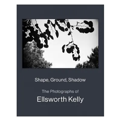 Shape, Ground, Shadow: The Photographs of Ellsworth Kelly